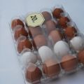 Упаковка для куриных яиц (ПЕТФ) 20 гнезд прозрачная