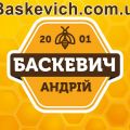 Baskevich